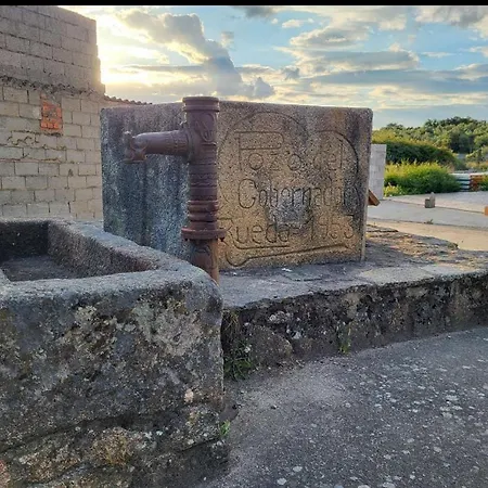Chulillos